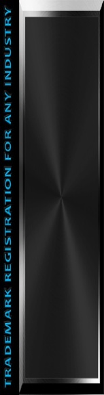 NARROW stainless bevel shape w- side text box.jpg